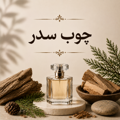 سدر
